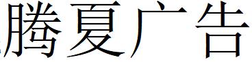 （山西）運(yùn)城 騰夏廣告